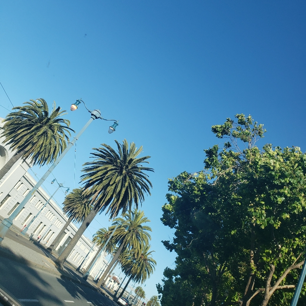 Meet your Posher, Ree